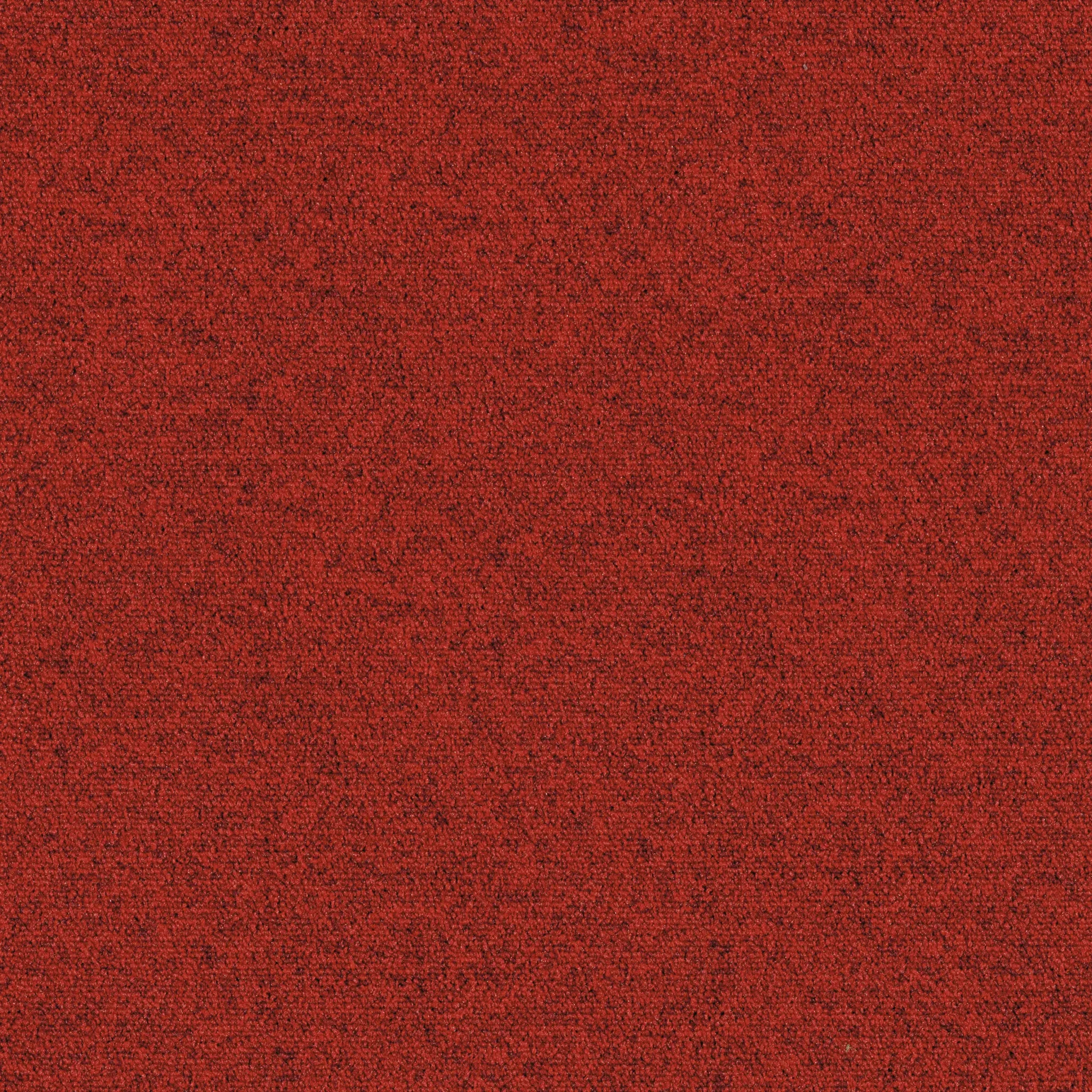 BrightIdeas_Camera-001.jpg