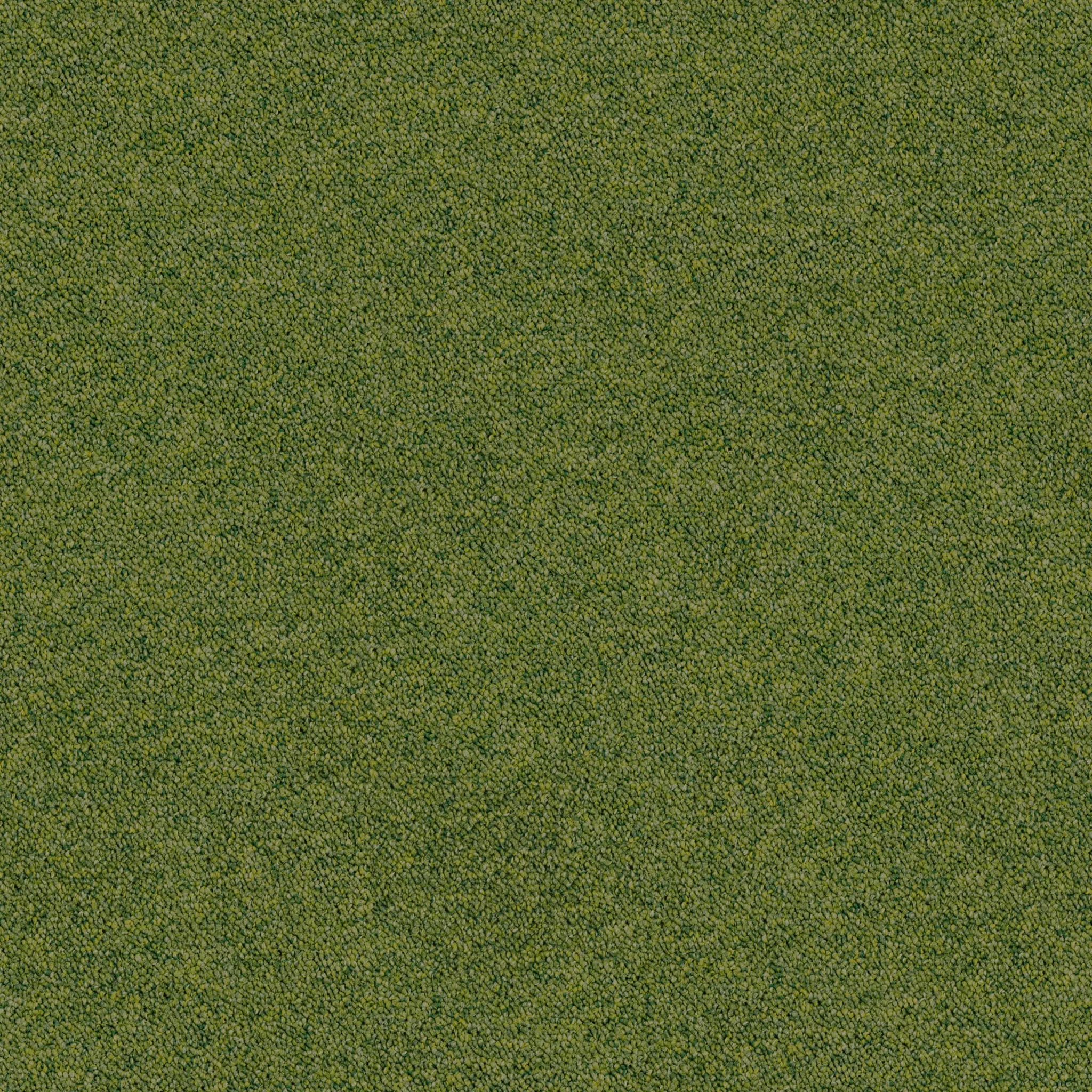 BrightIdeas_Fusion-001.jpg